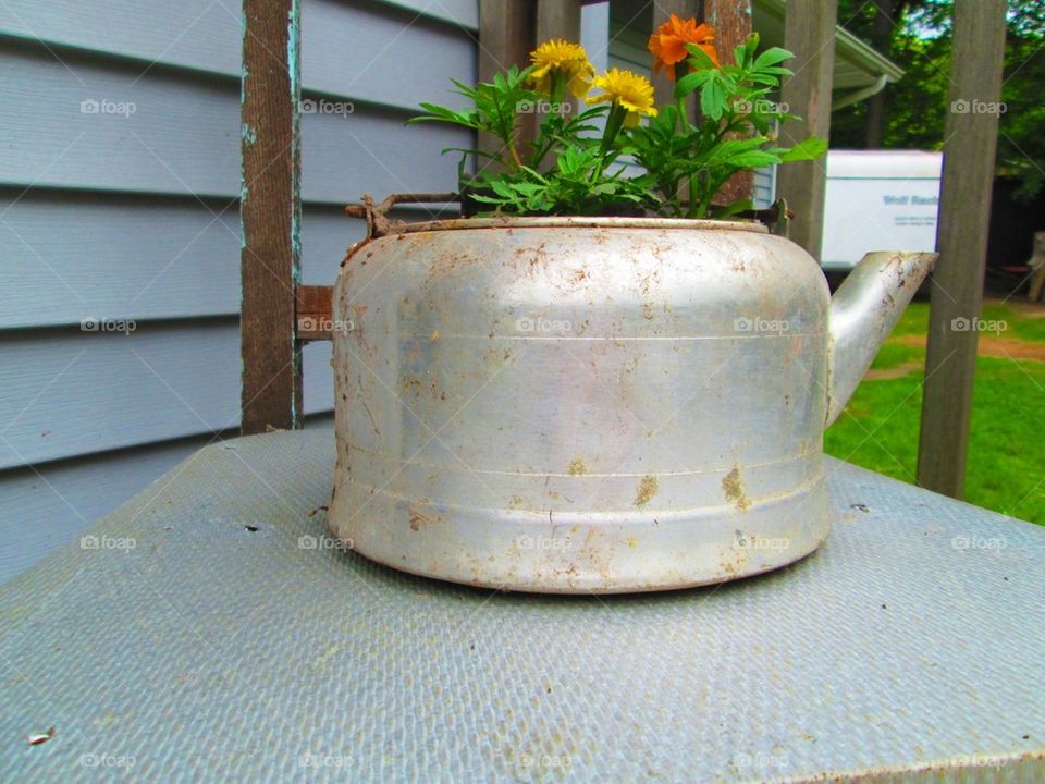 Thought it was a cute picture