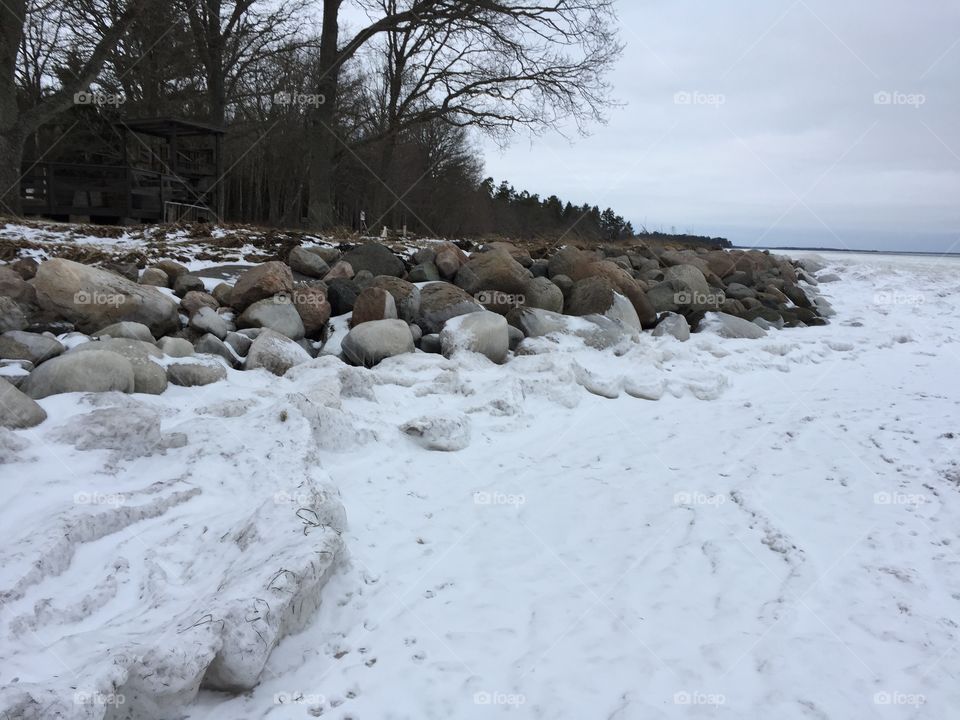 winter