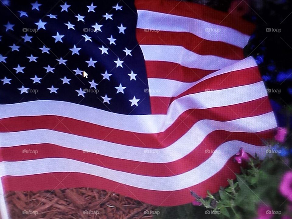 celebrate the 4th of July