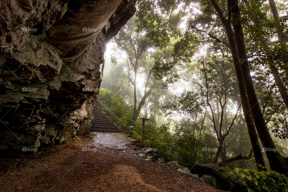 Trail in the nature