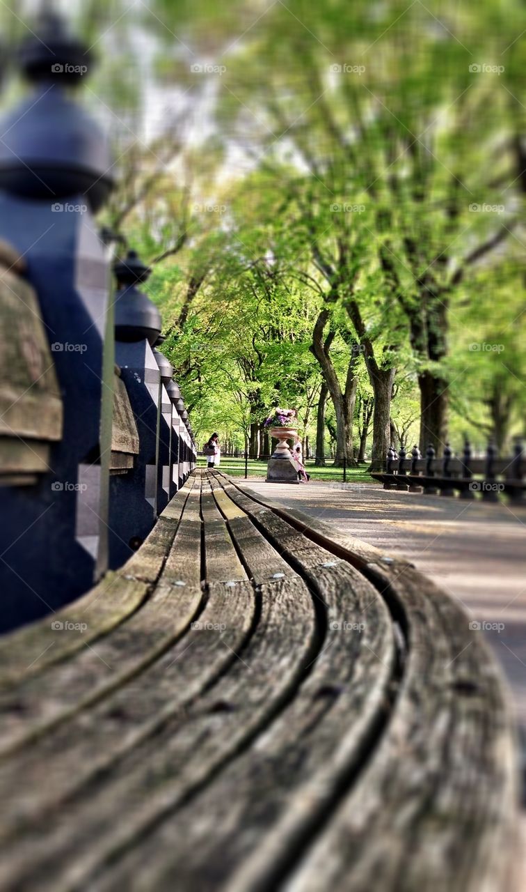 Sit on a bench with me. 