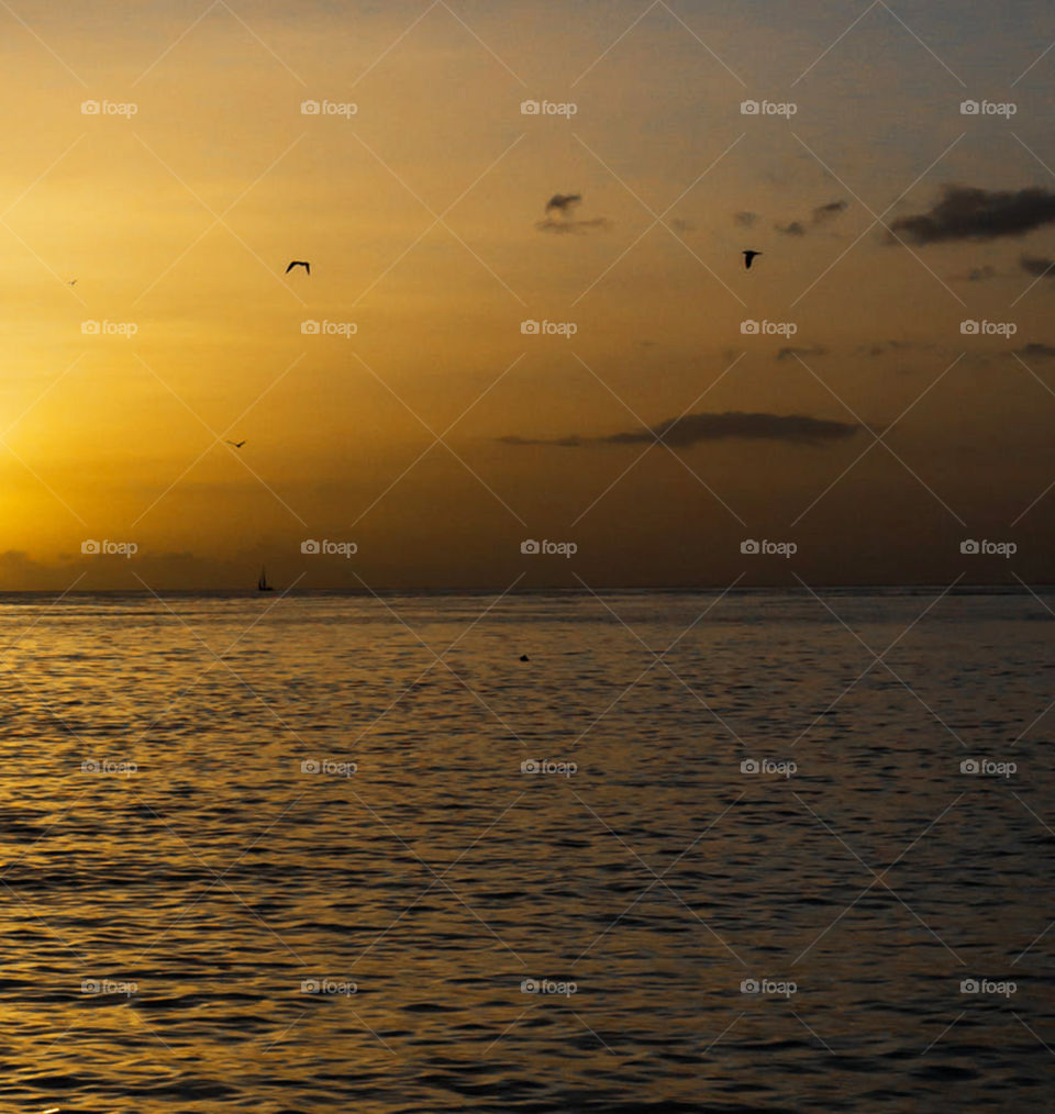 Travel around the world