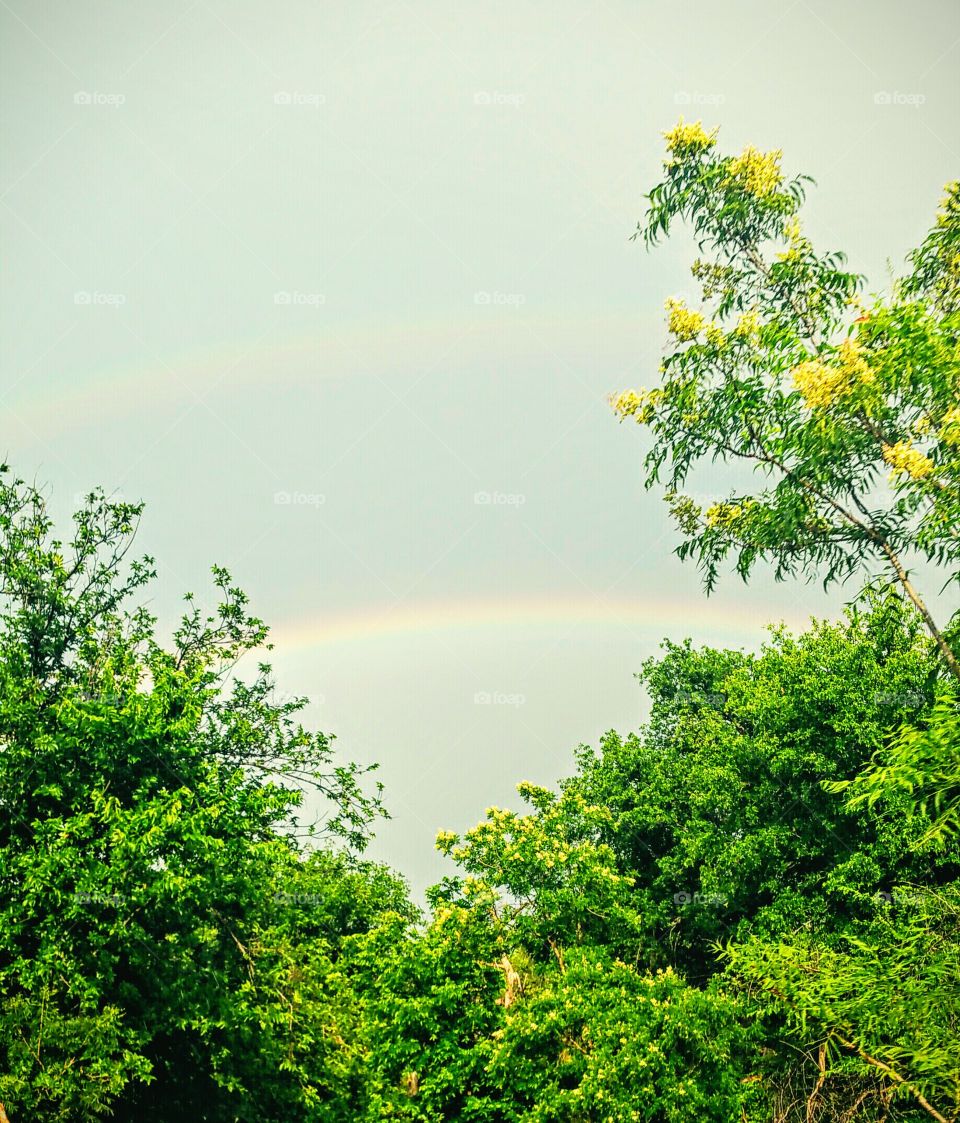 Double Rainbow. Double Rainbow near Hawley, Tx