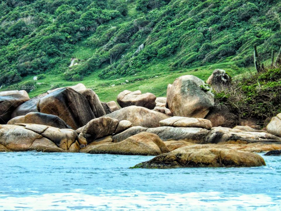 vegetation, stones and sea