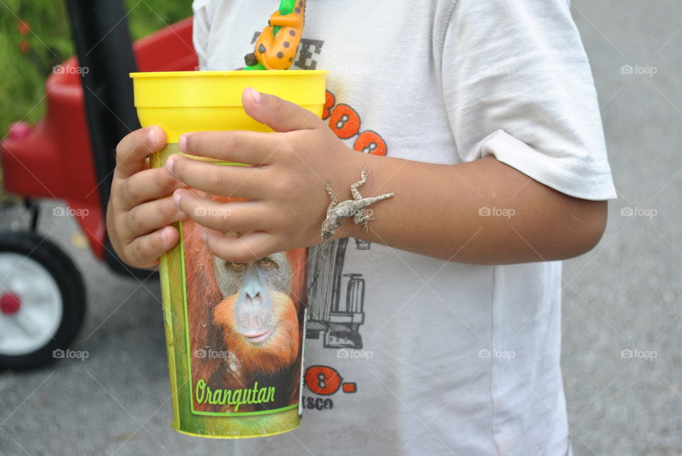 A small gecko on the hand of a small child holding a cup at the zoo