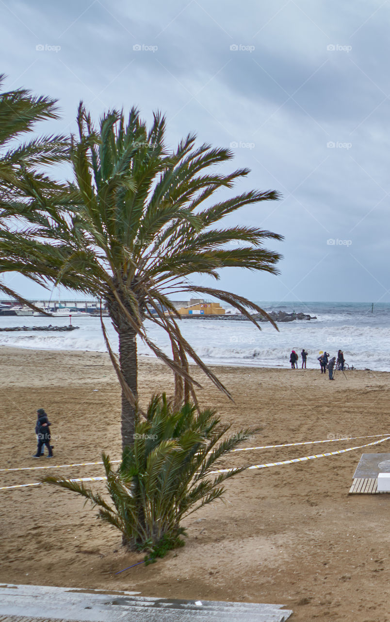 Winter beach