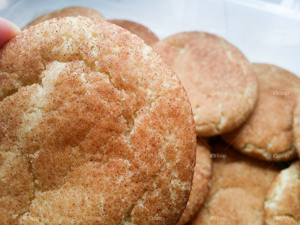 Snicker Doodle Close Up