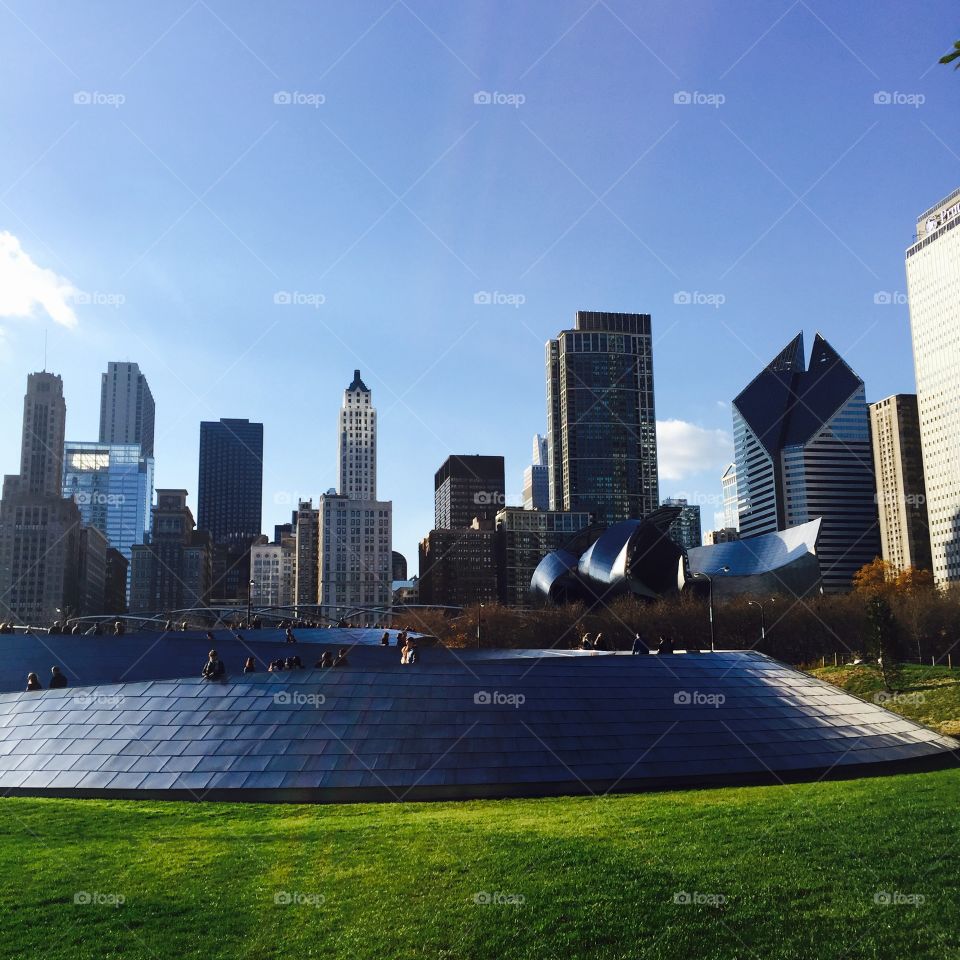 Chicago Millennium Park