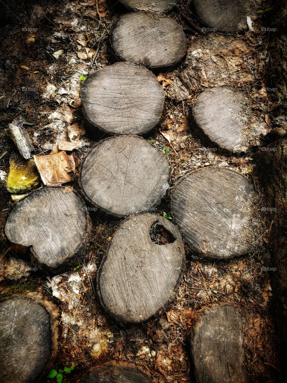 From up to above  mountains hills field nature view eco focus day part sun sunny travel Light reys trip form plant part shades shape beauty greens outdoor freedom happy happiness