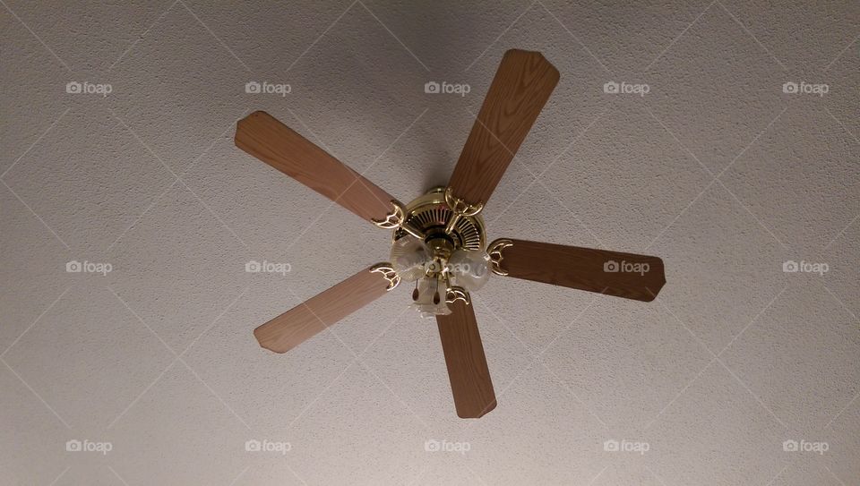 ceiling fan