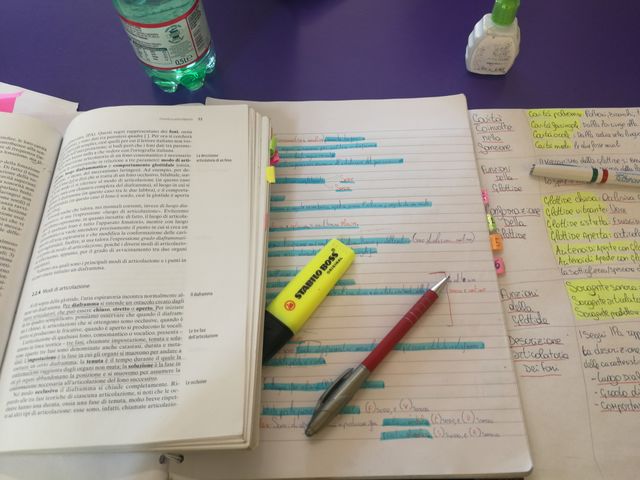 Study