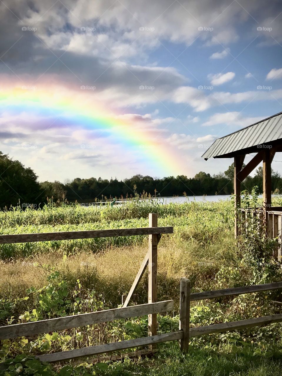 Rainbow in the fields 