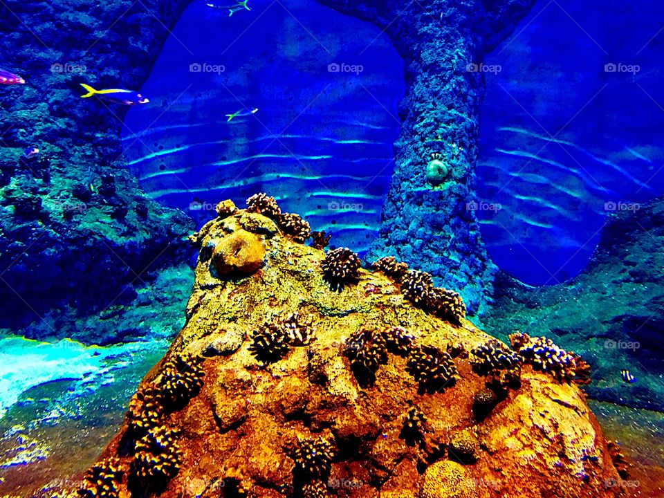 Captured with iPhone 6s Plus 