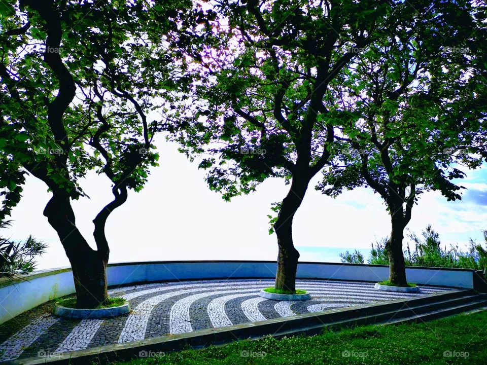 sao miguel