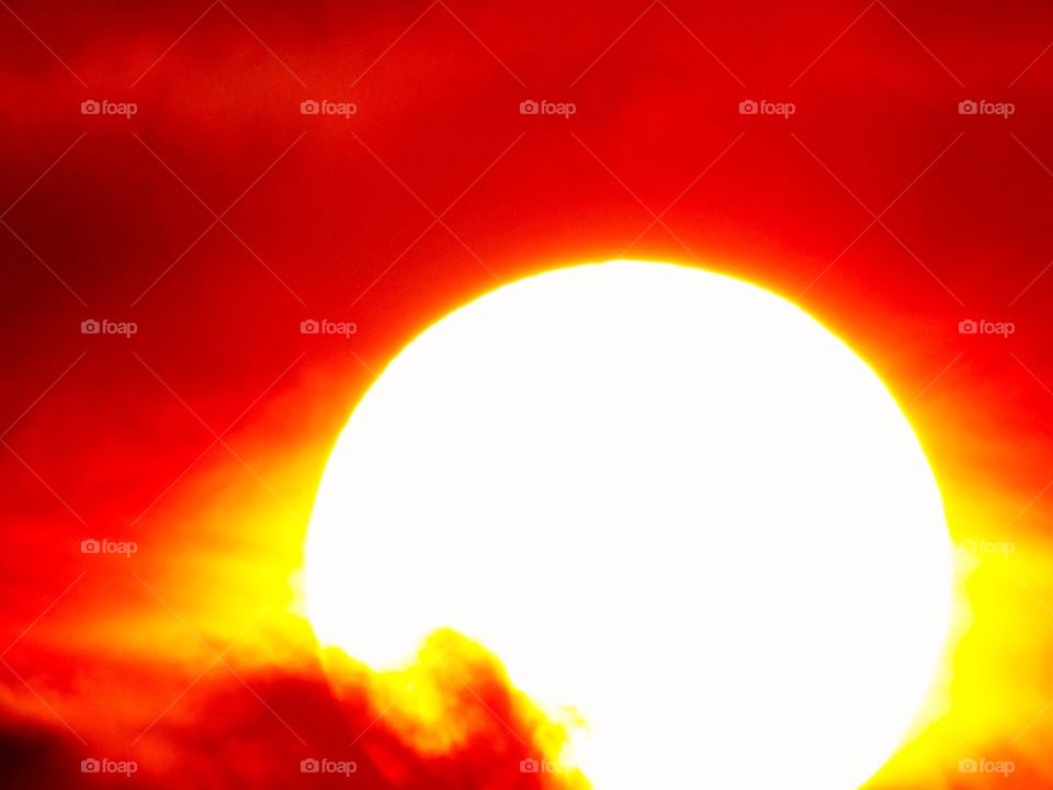 Big and beautiful su 