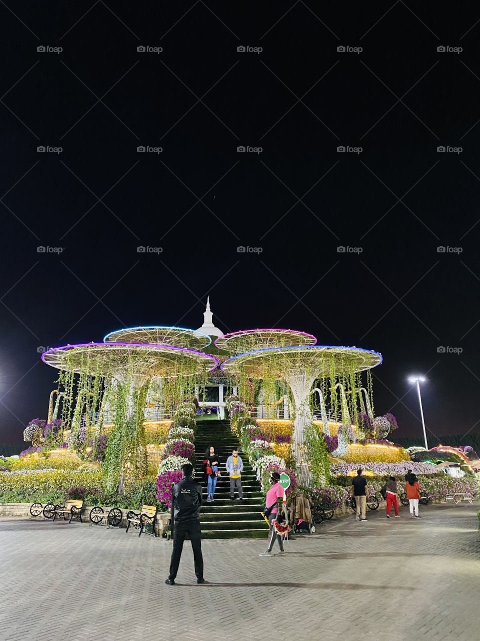 Dubai miracle garden 