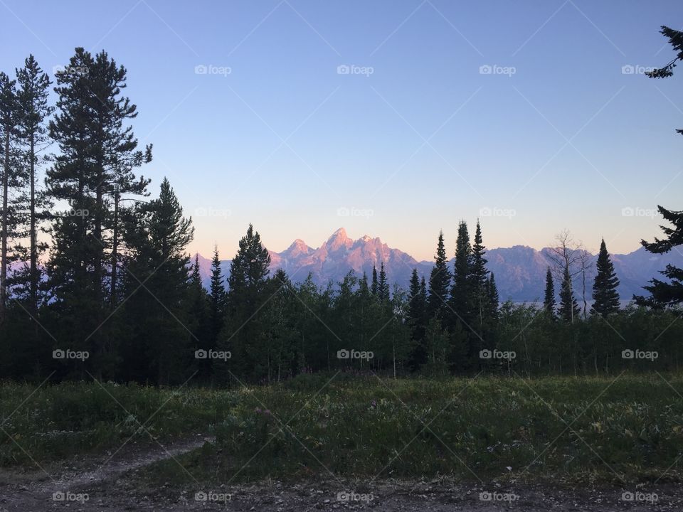 Hiking trail in the Grand Tetons 