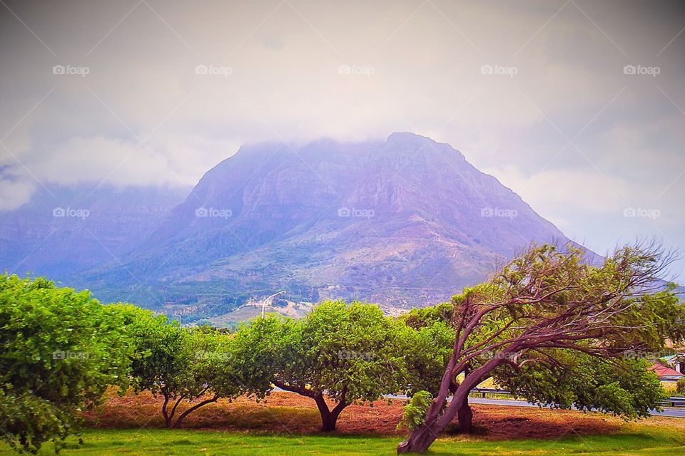 Cape town mountain