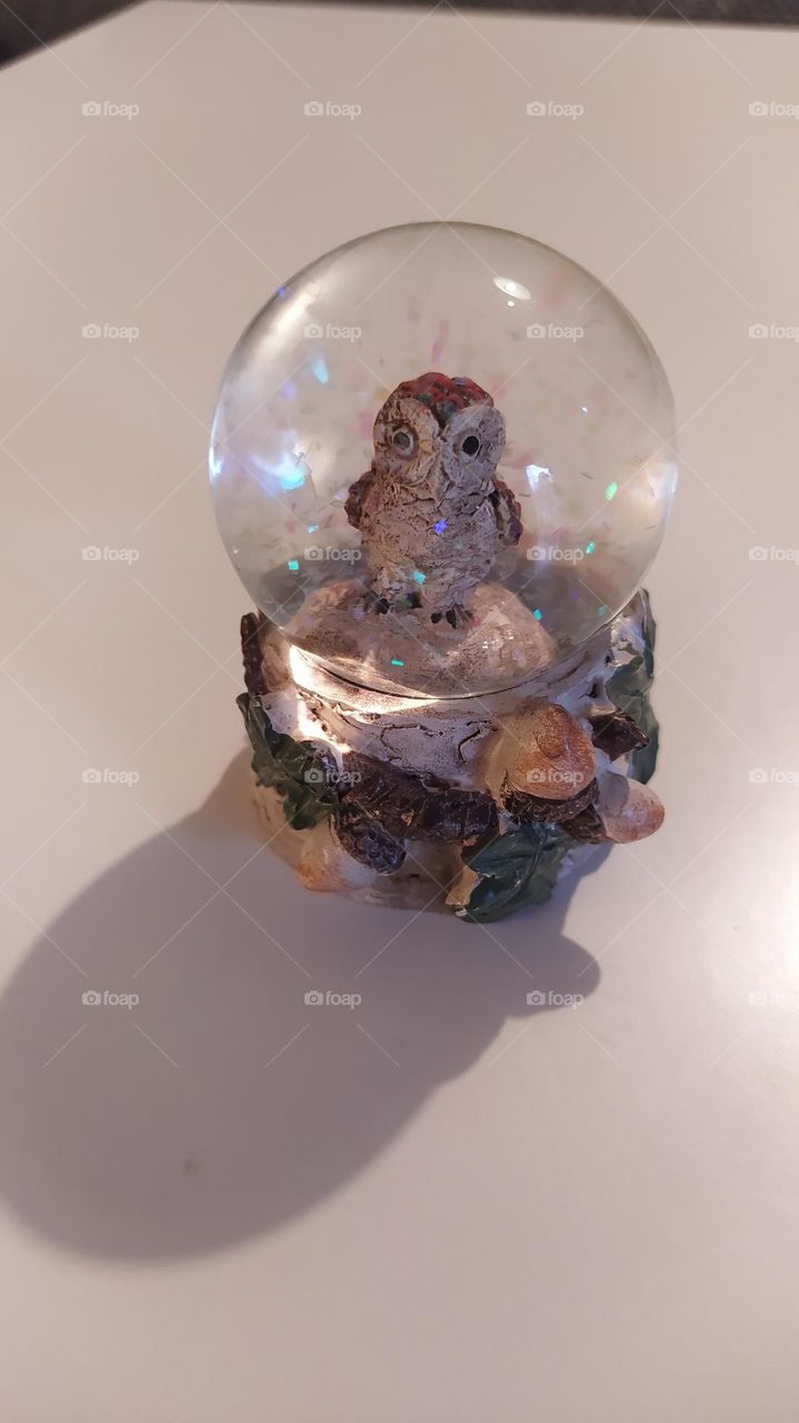 snow globe