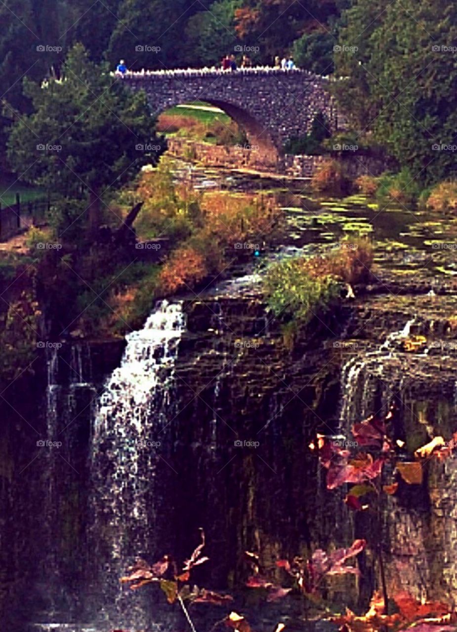 Waterfall in Hamilton