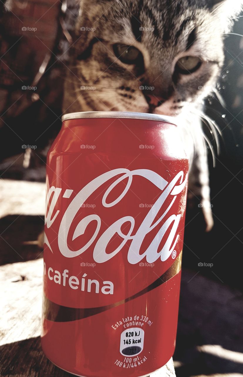 Coca-Cola