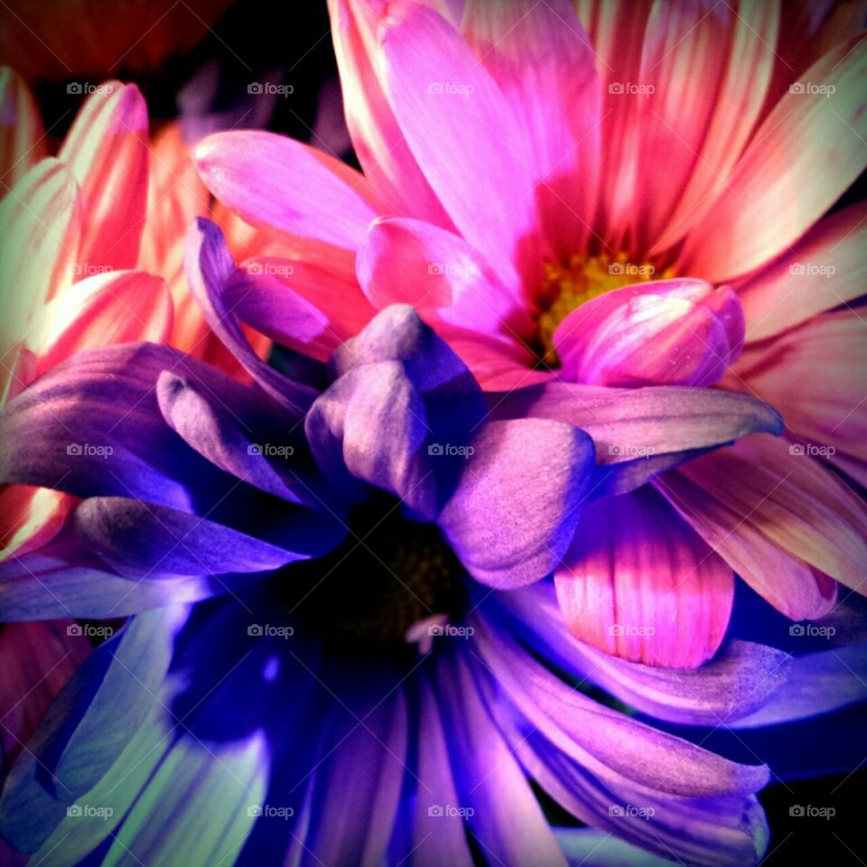 flashlight photography