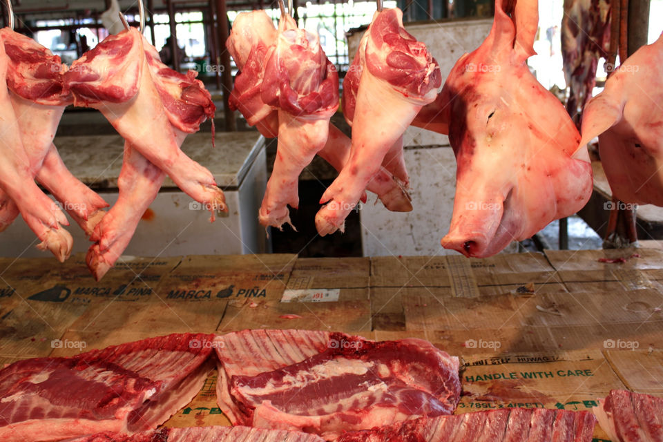pig pork butcher pigs head by shotmaker
