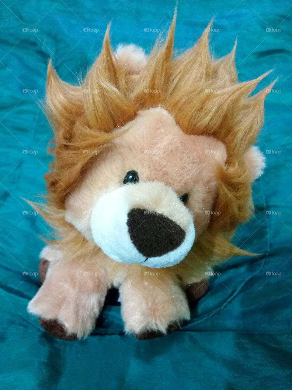Lion or lion cub?
What can you do with the 'hair'?