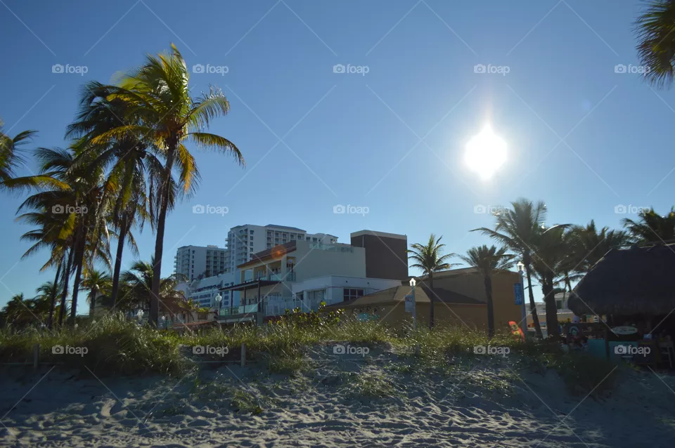 sunshine on the beach