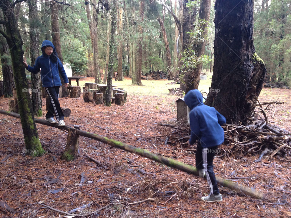 wood children fun forest by splicanka