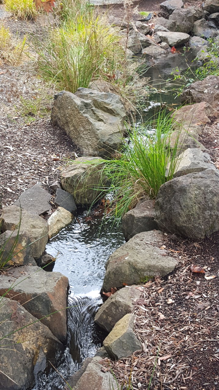 stream in garden
