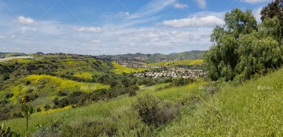 California hills