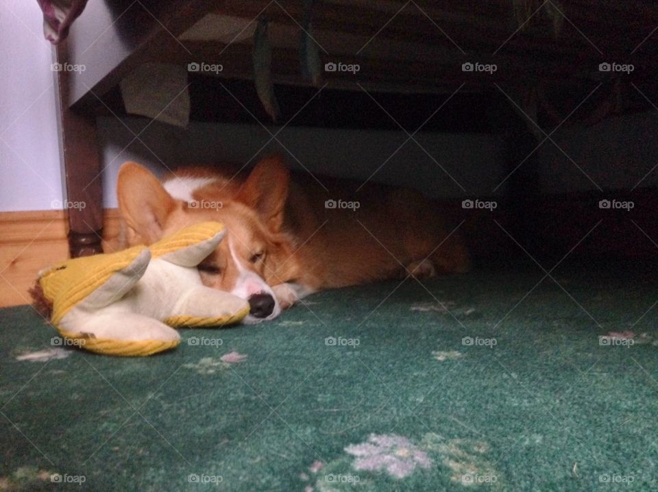 Monsters Under the Bed