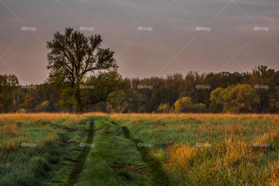 Most kolejowy na rzece Odra, Poland, Stany