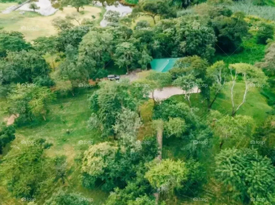 beautiful Africa