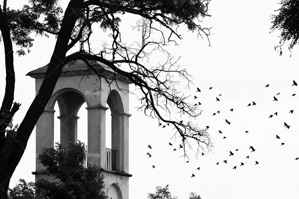 Church tower and tree branch captured in high contrast black & white 