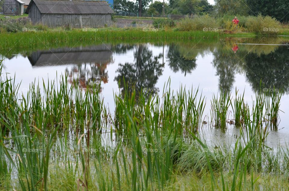 Water, Reflection, Nature, Lake, River