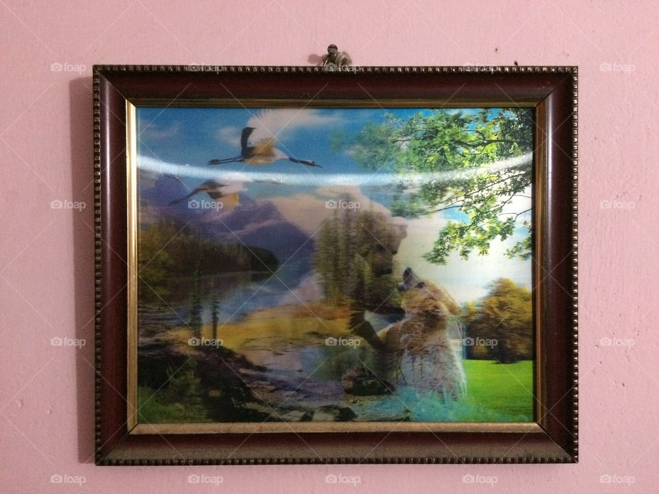 wall photo frame 