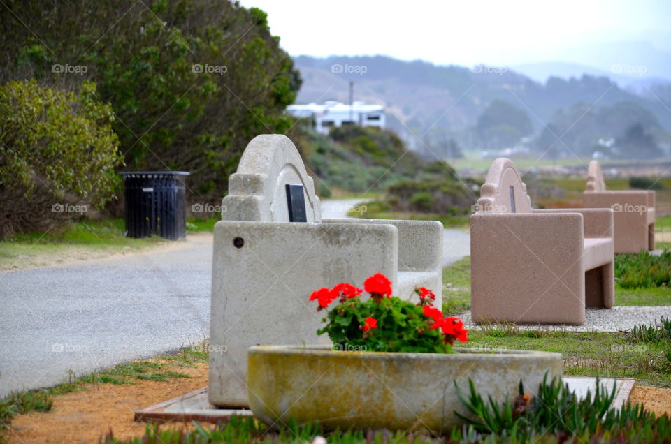 Bench with flowers