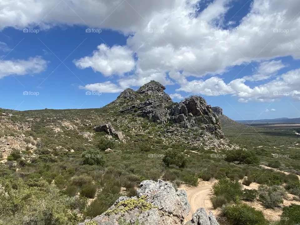 Mountain