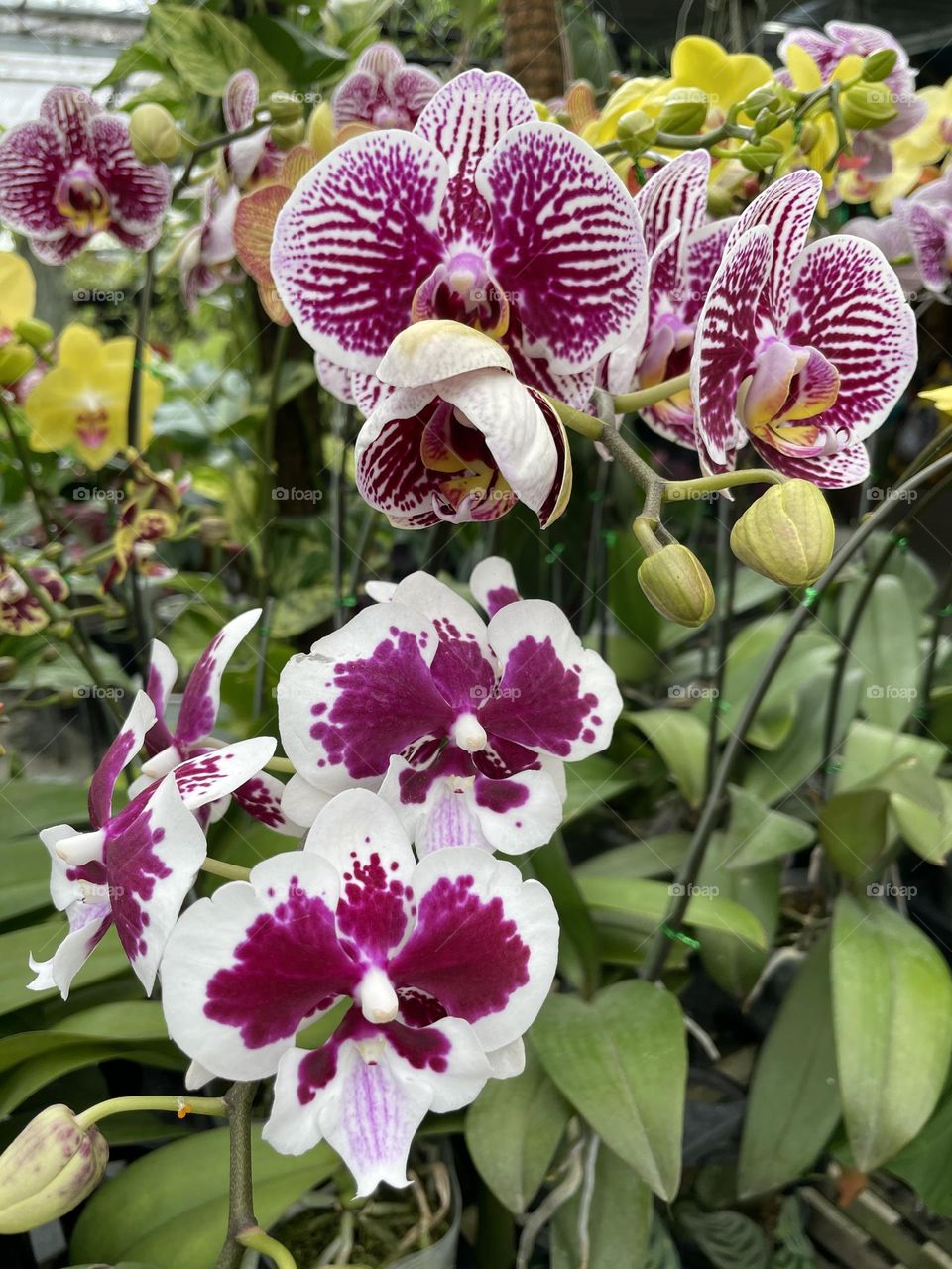 Surrounded by color that speak louder than words