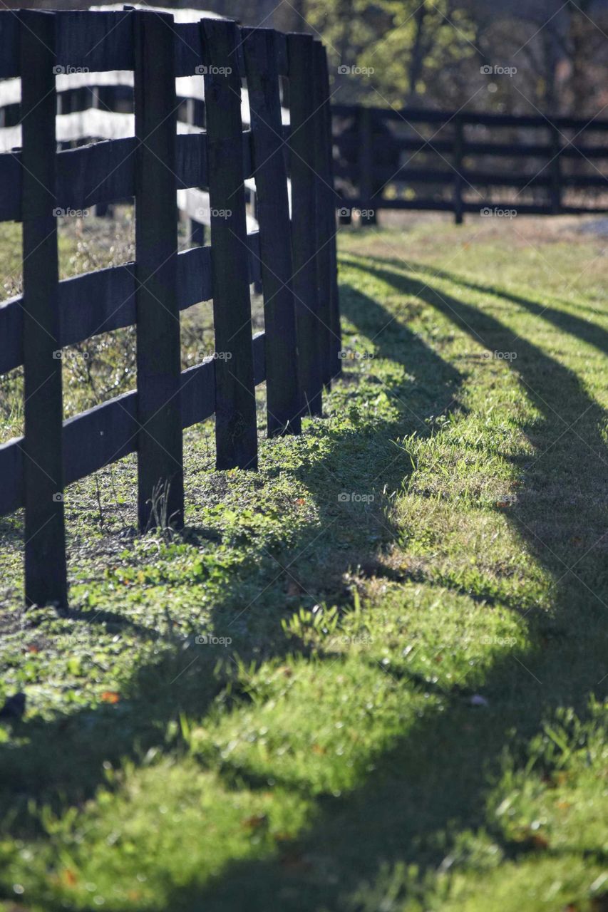 Fence shadow on the grass