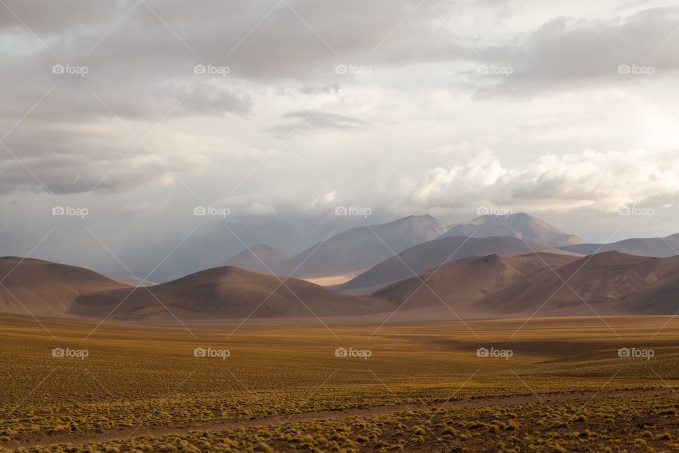 Evening scenery in Atacama . Mountains and valley in cloudy Atacama desert. Valley grass is yellow, mountains red