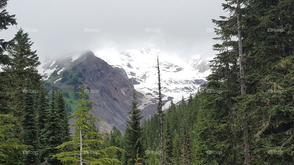 Rainier in the clouds