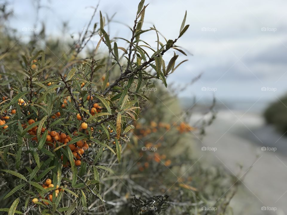A cold day at the beach