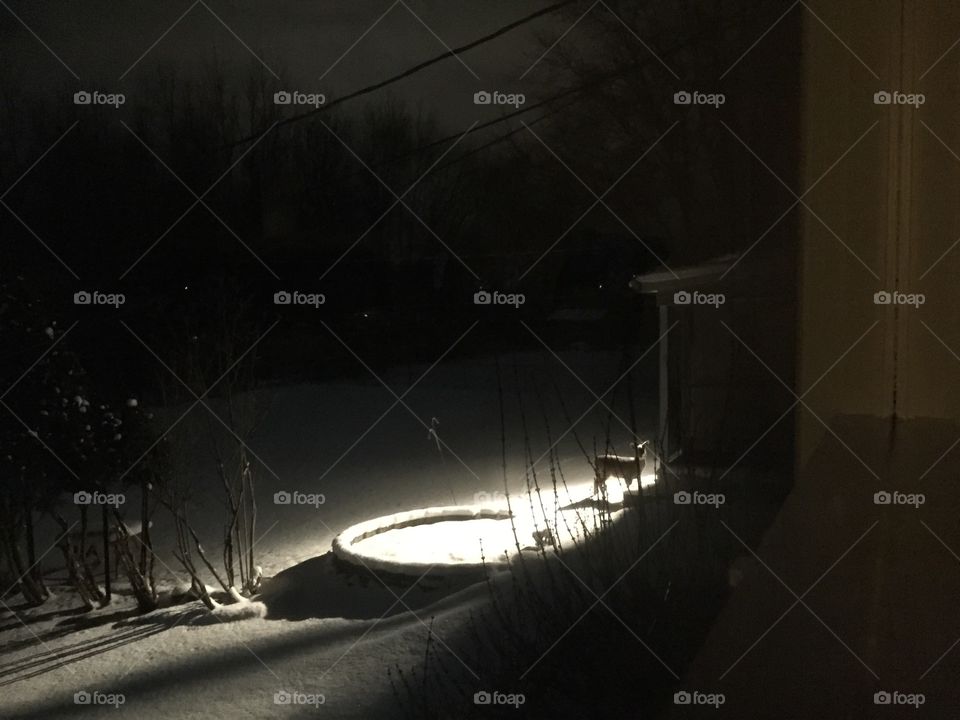 Night feeding. 
My neighbor's motion lights came on when this fawn approached the house one snowy night. It wasn't startled by the light at all. 