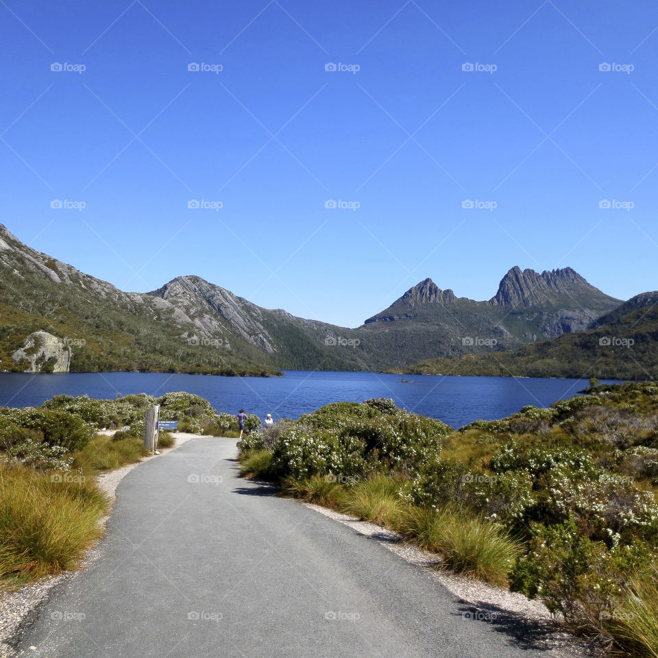 Cradle Mountain Taz AU