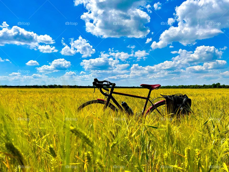 Classic road bike in the wheat field