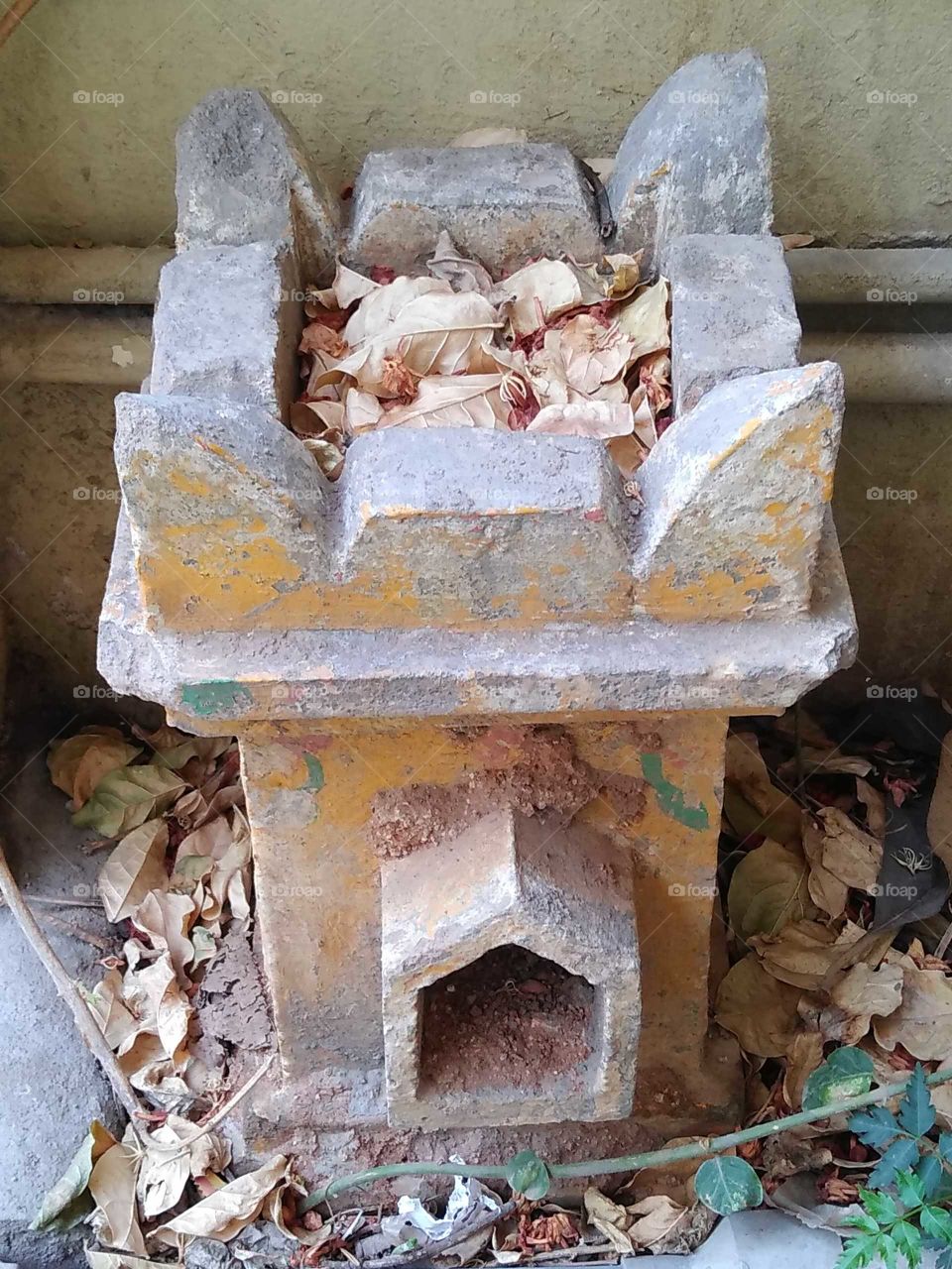 old ancient tree pot