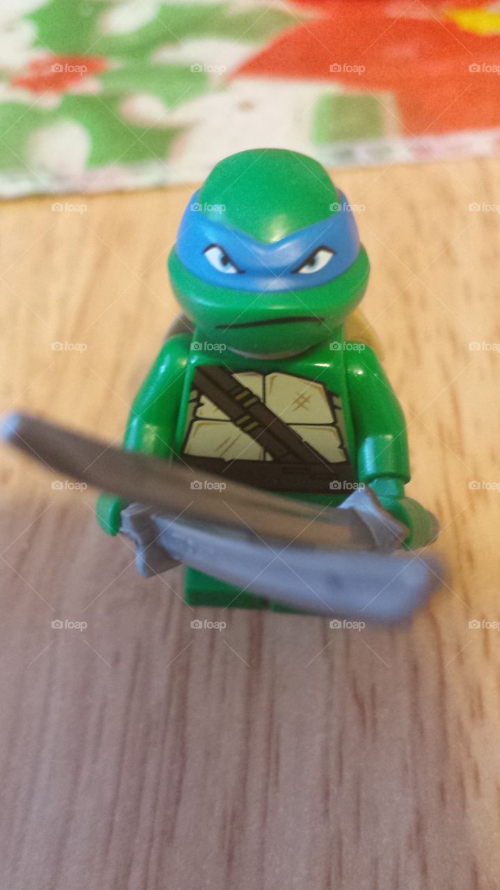 Unhappy Leonardo